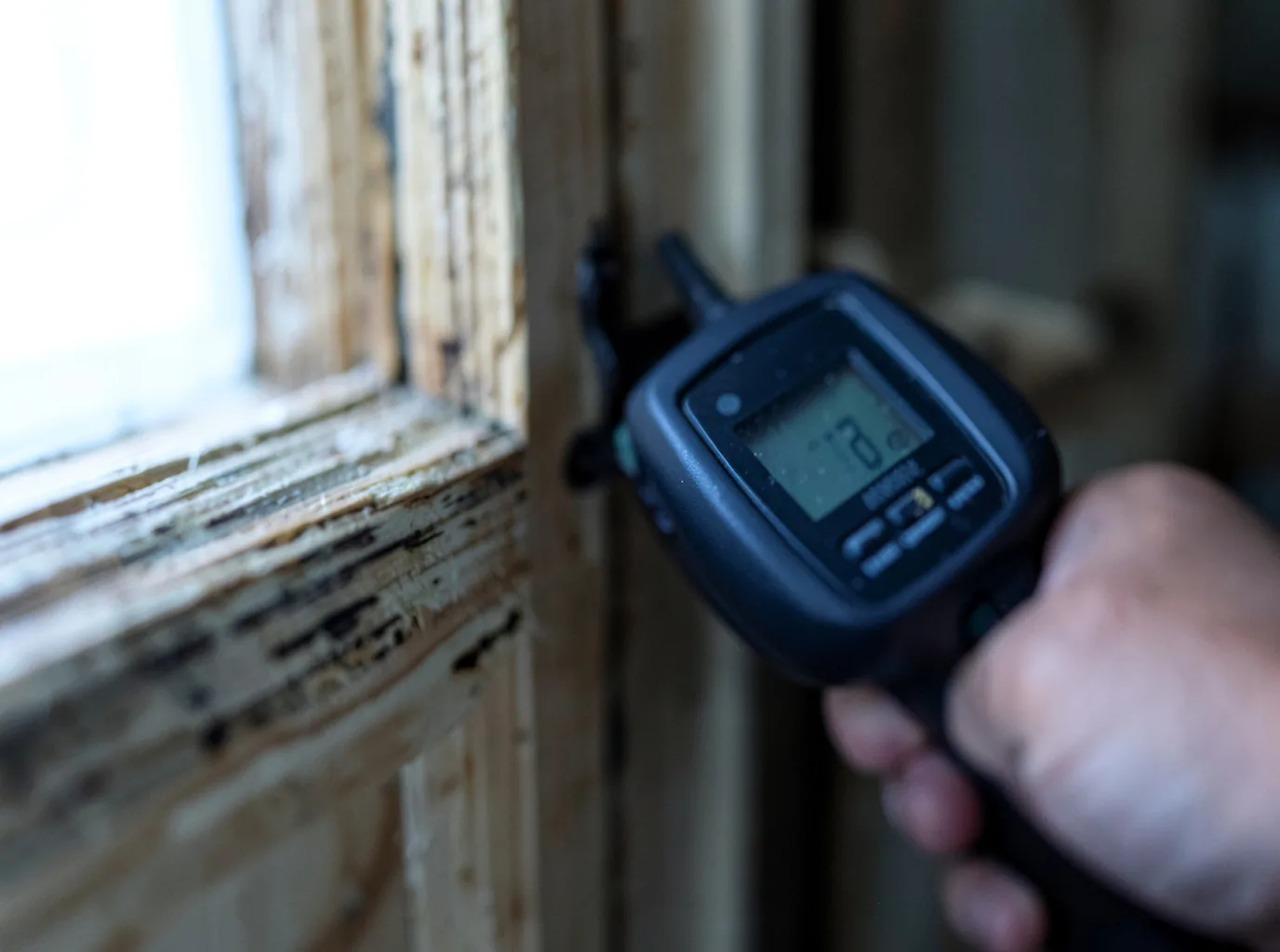 Water Damage Restoration Mio, MI FAQs